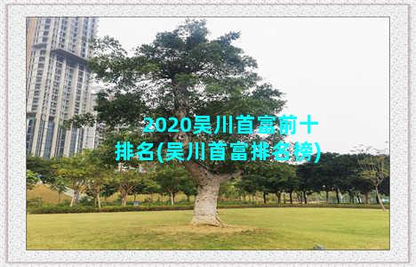 2020吴川首富前十排名(吴川首富排名榜)